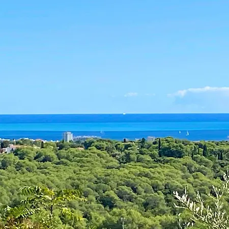 Vue Panoramique, 10min, Piscine, Tennis, Petanque Vallauris