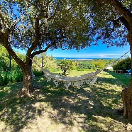 Vue Panoramique, 10min, Piscine, Tennis, Petanque * Vallauris
